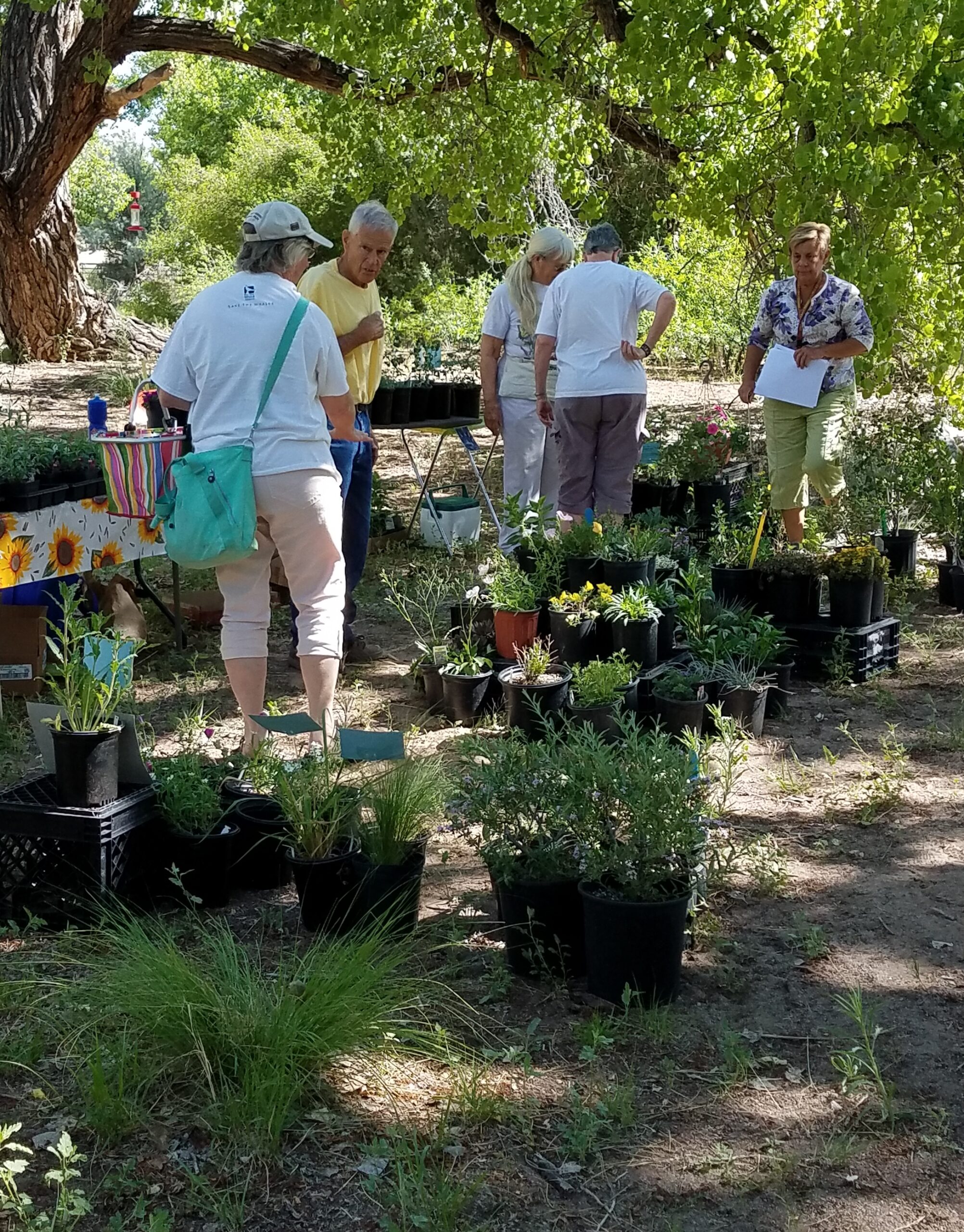 Plant sales at Herbfest.